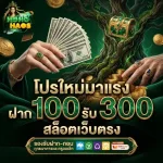 สล็อตhong hao วอ ล เล็ ต